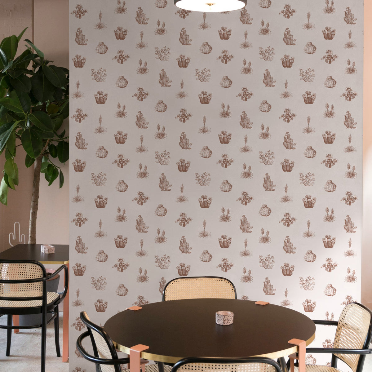 Desert Cove Wallpaper