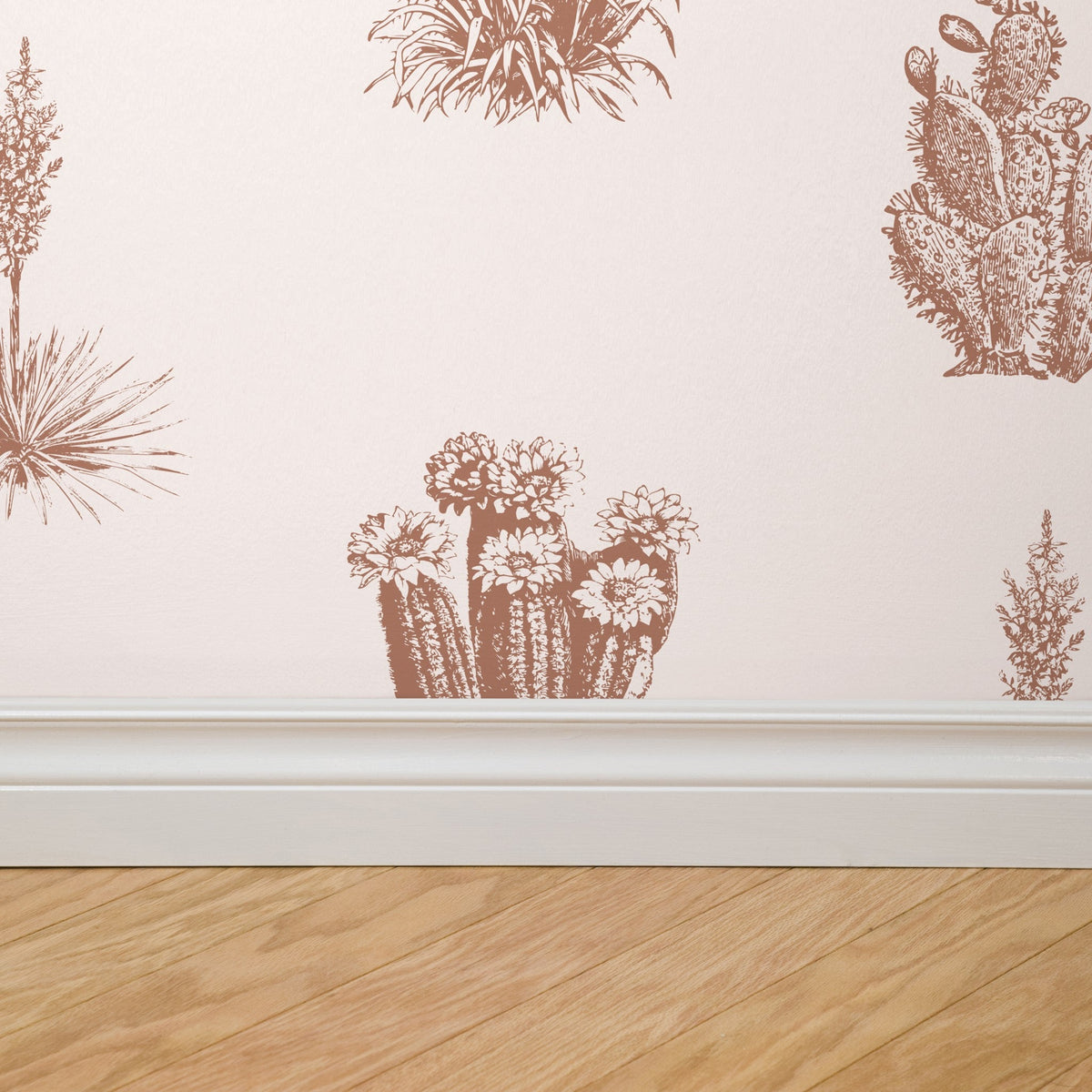 Desert Cove Wallpaper