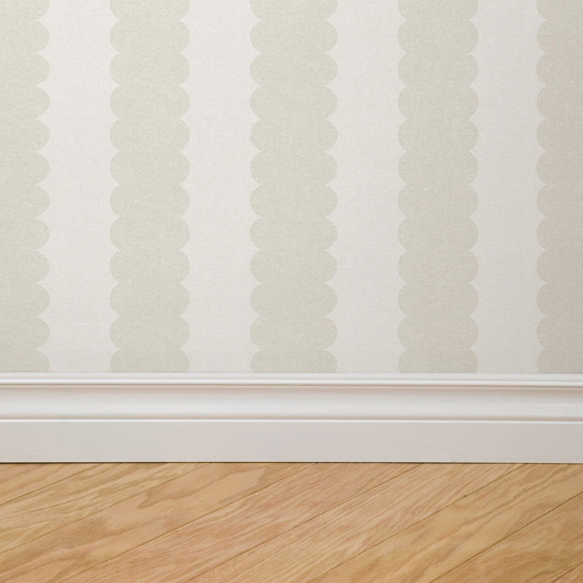Teddy Scallop (Small) Wallpaper