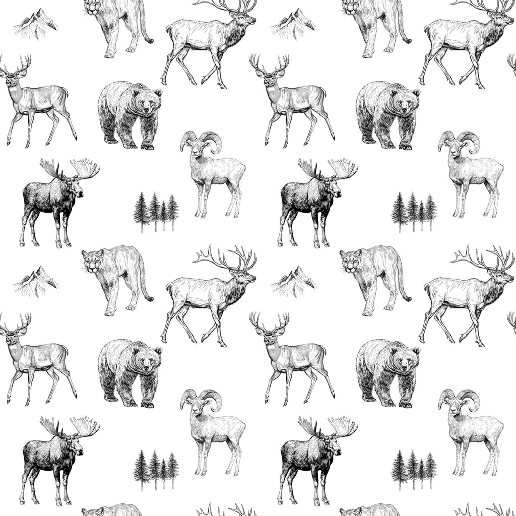 Bozeman Wallpaper
