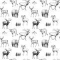 Bozeman Wallpaper
