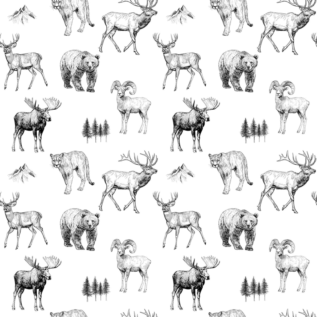 Bozeman Wallpaper