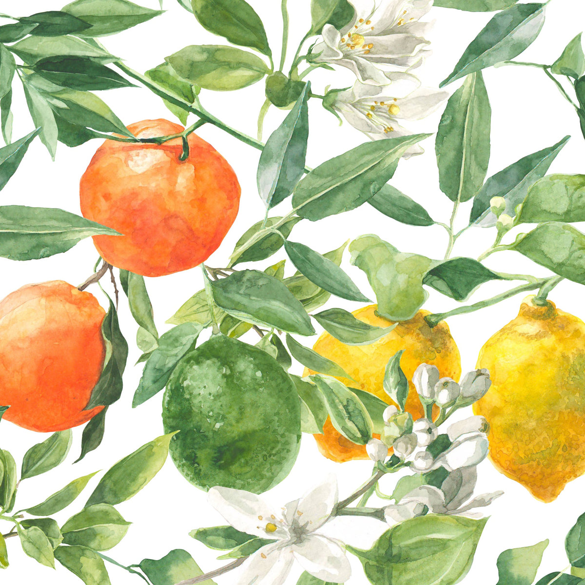 Mediterranean Wallpaper