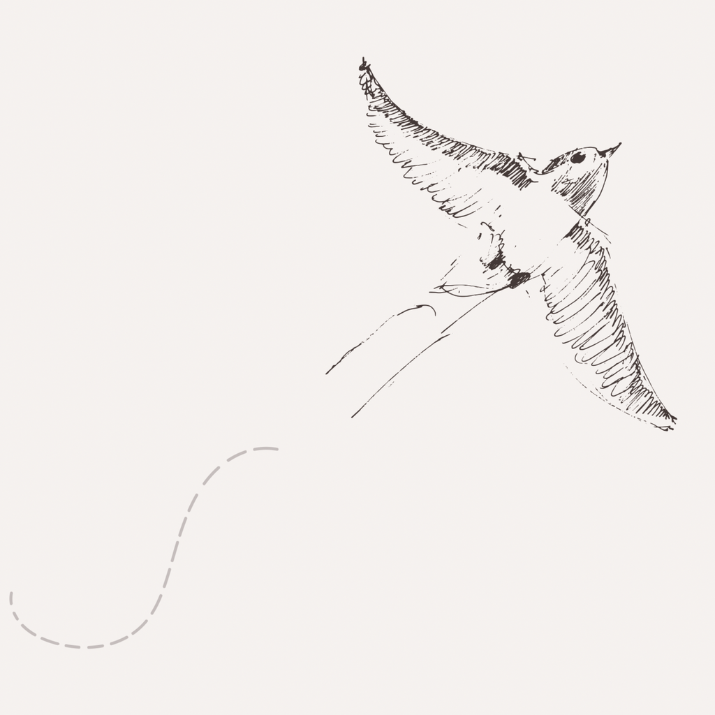 Of a Feather (Eggshell) Wallpaper