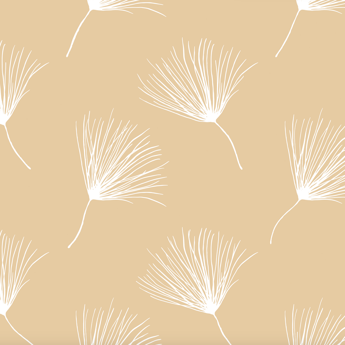 Wish Wallpaper