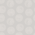 Sand Dollar Wallpaper
