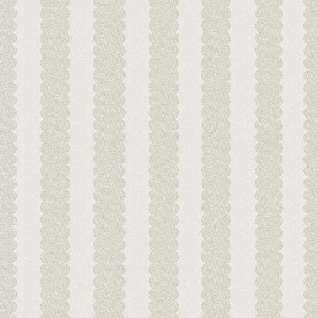 Teddy Scallop (Small) Wallpaper