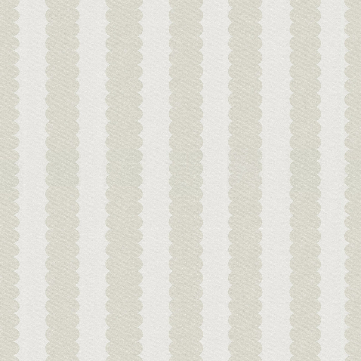 Teddy Scallop (Small) Wallpaper