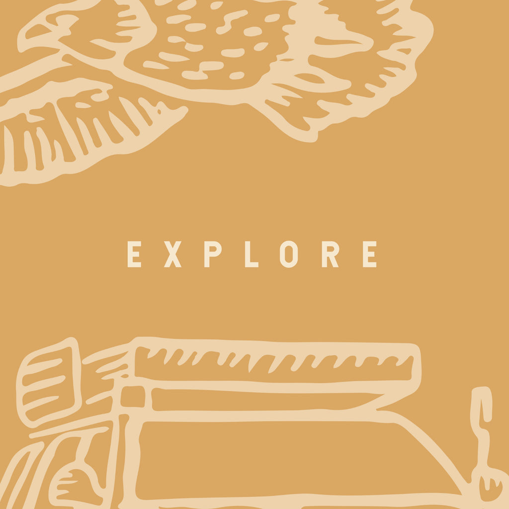 Adventure Awaits (Orange) Wallpaper - 8 FT H X 23.75 FT W LUXE P&S
