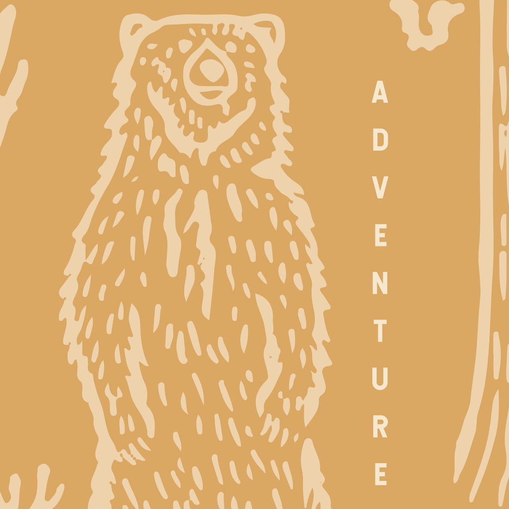 Adventure Awaits (Orange) Wallpaper - 8 FT H X 23.75 FT W LUXE P&S