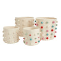 Felt Pom Pot Cover — Multi Color