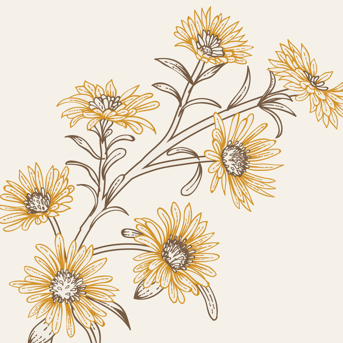 Lottie Wallpaper