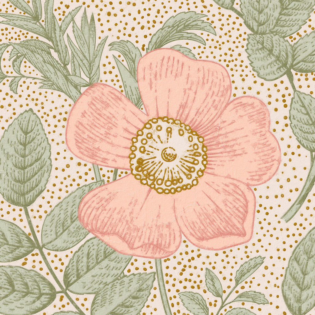 Poppy Wallpaper