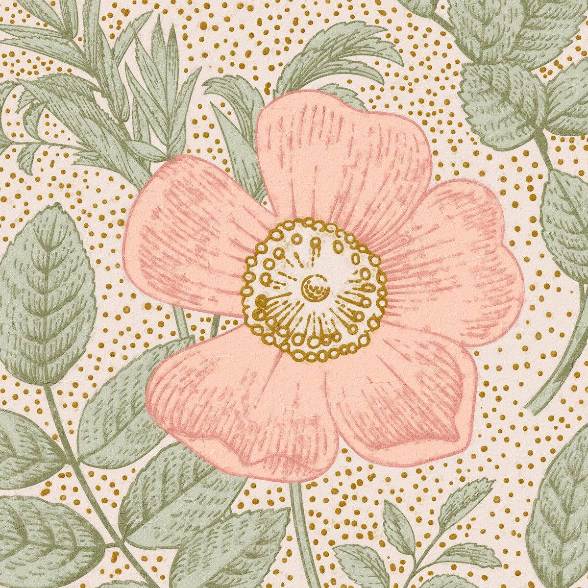 Poppy Wallpaper