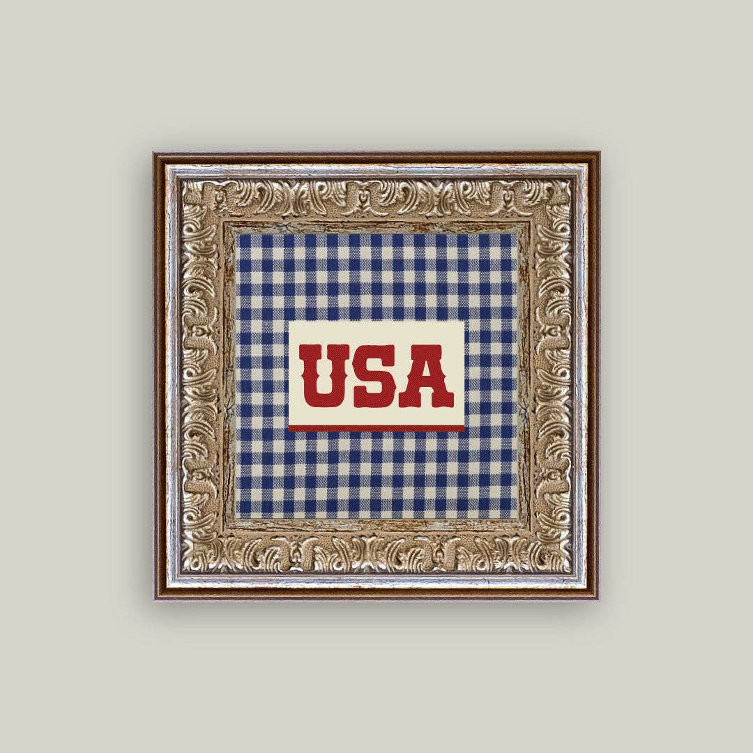 Plaid USA Framed Antique Canvas Wall Art | Patriotic Farmhouse Decor