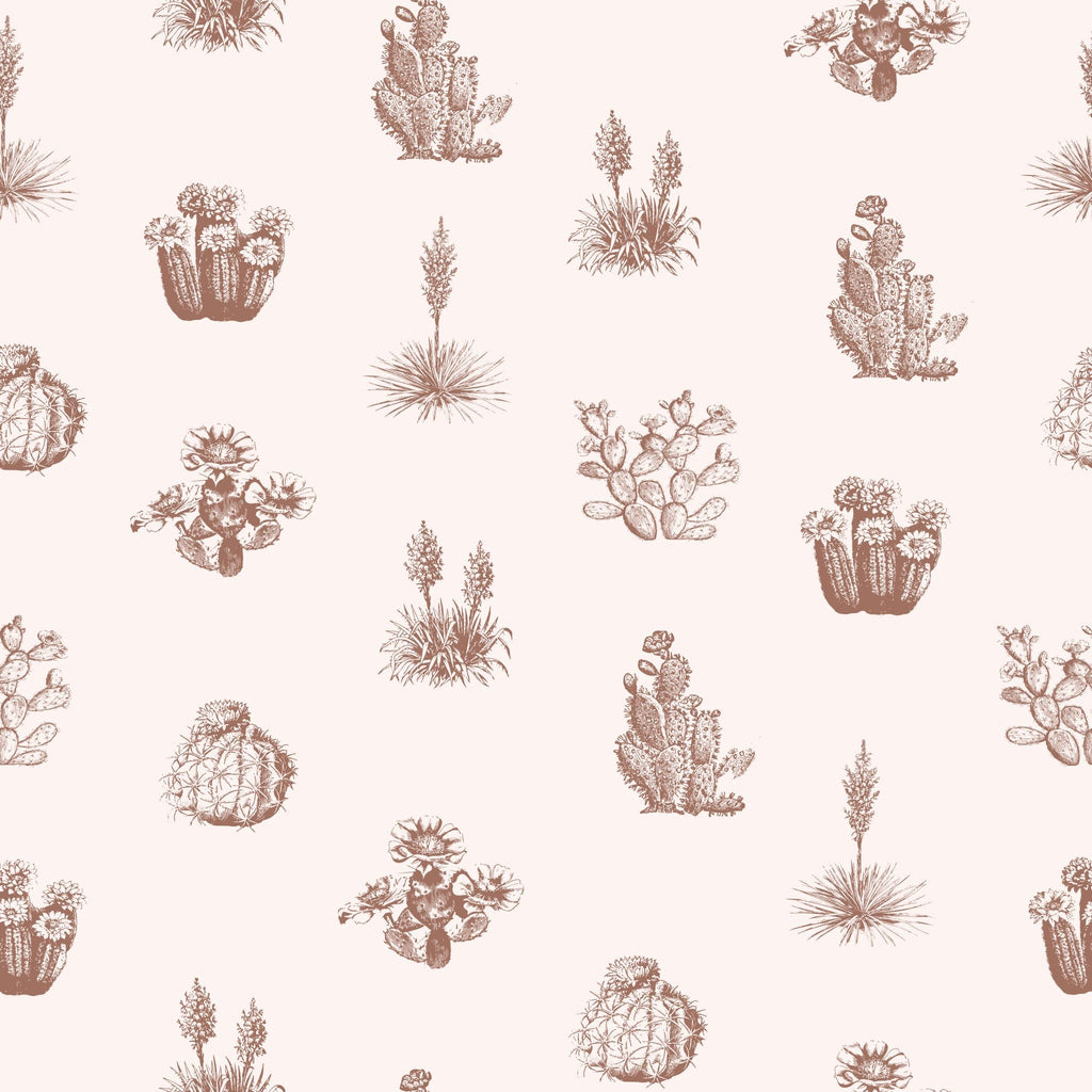 Desert Cove Wallpaper