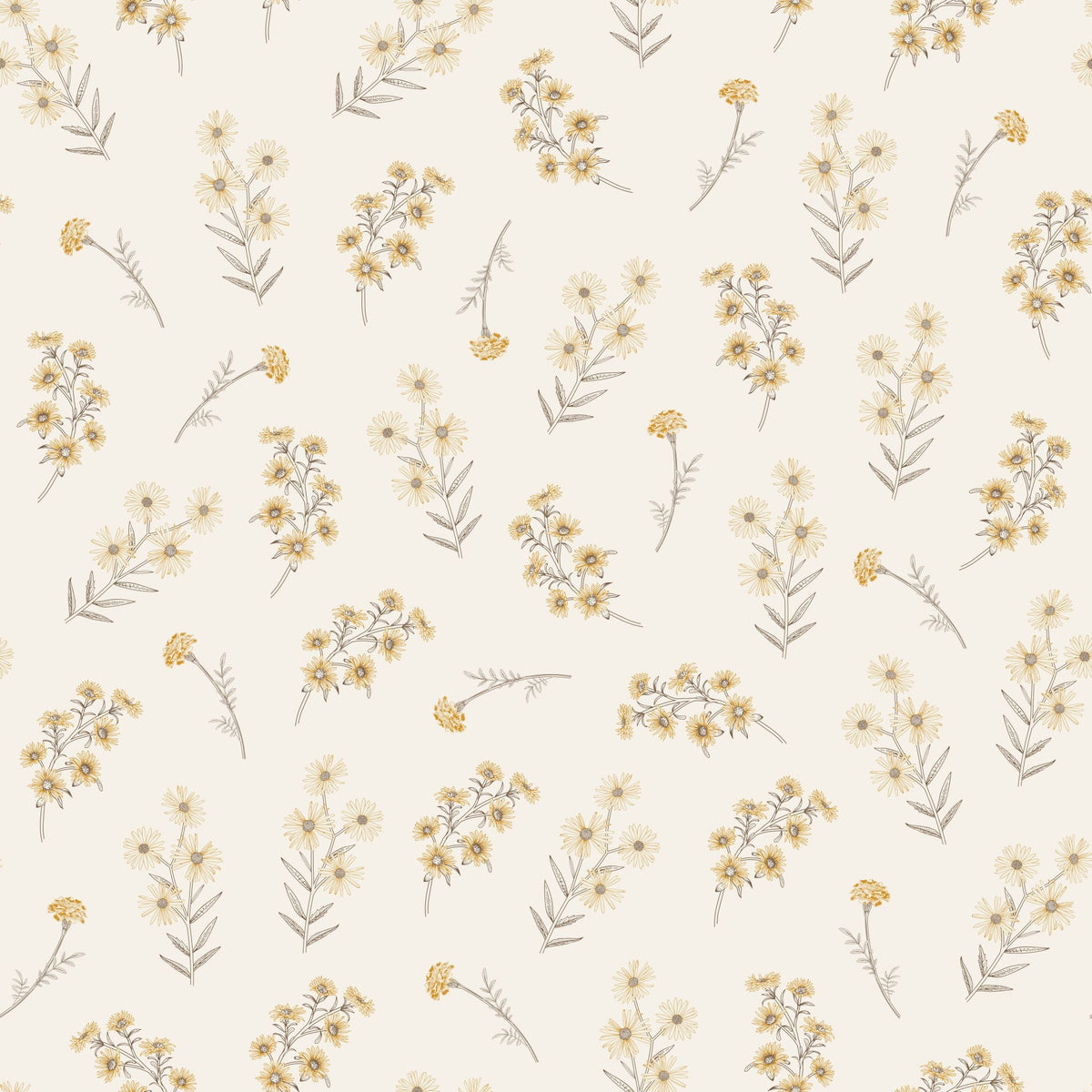 Lottie Wallpaper